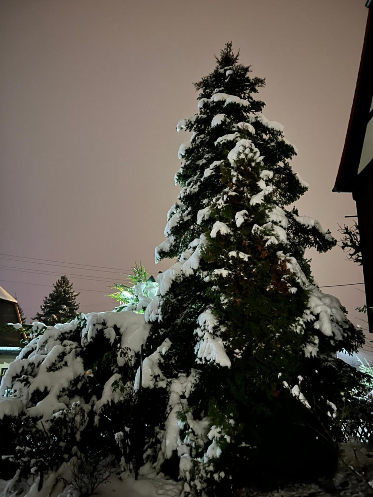 Ferienwohnung Walddorf  エクステリア 写真